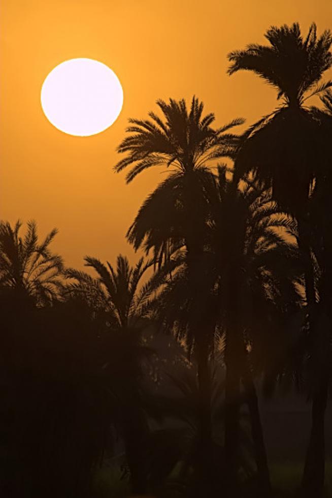 Puesta de sol en el Nilo